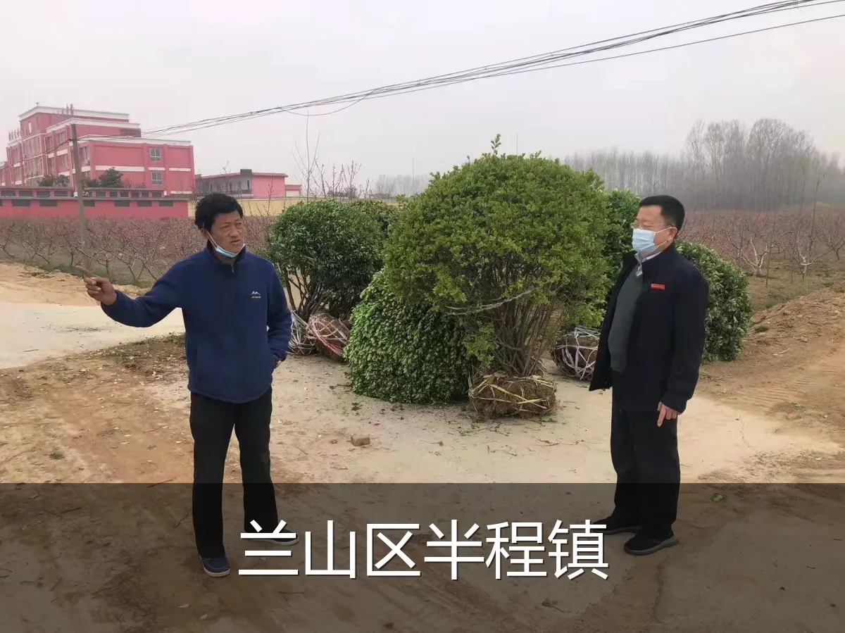 兰山区半程镇